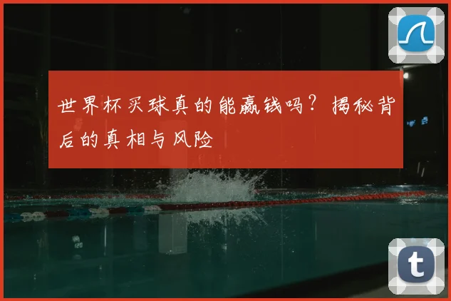 世界杯买球真的能赢钱吗?揭秘背后的真相与风险