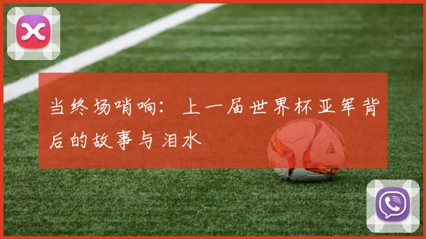 当终场哨响：上一届世界杯亚军背后的故事与泪水