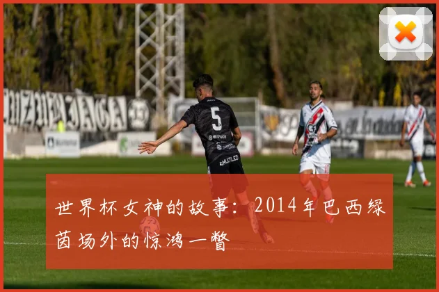 世界杯女神的故事：2014年巴西绿茵场外的惊鸿一瞥