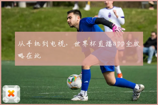 从手机到电视，世界杯直播app全攻略在此