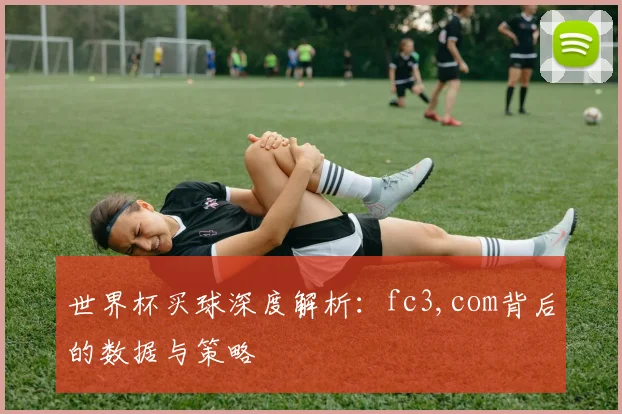 世界杯买球深度解析:fc3,com背后的数据与策略