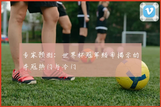 专家预测:世界杯冠军赔率揭示的夺冠热门与冷门