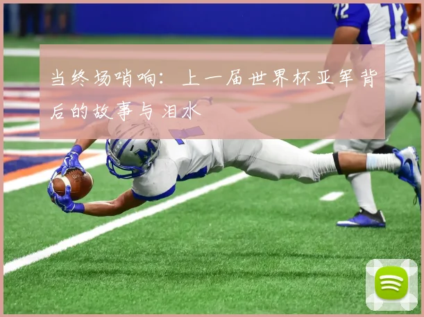当终场哨响：上一届世界杯亚军背后的故事与泪水