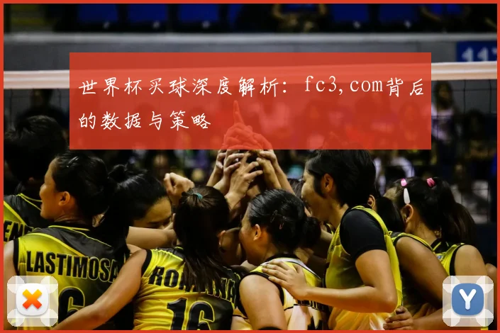 世界杯买球深度解析:fc3,com背后的数据与策略