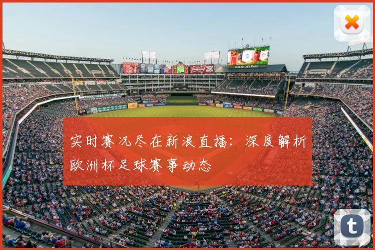 实时赛况尽在新浪直播：深度解析欧洲杯足球赛事动态